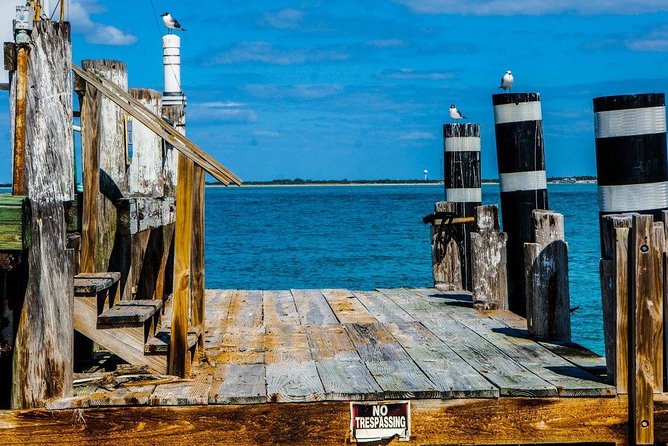 Egmont Key Snorkeling Dolphin Tour - When weather changes the plan (and how to judge the trade-off)