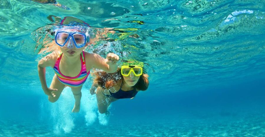 Emerald Coast: Afternoon Snorkel & Dolphin Tour - The ride out: how the captain finds wildlife