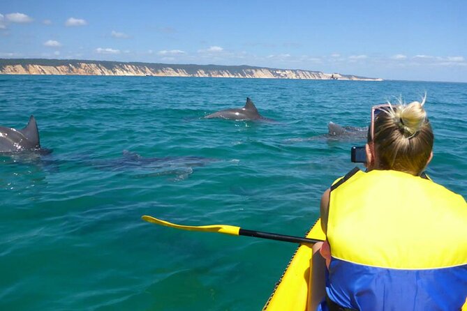 Epic Kayak With Dolphins & Wildlife - 4WD Beach Adventure Noosa - Double Island Point plus 4WD: why this combo works