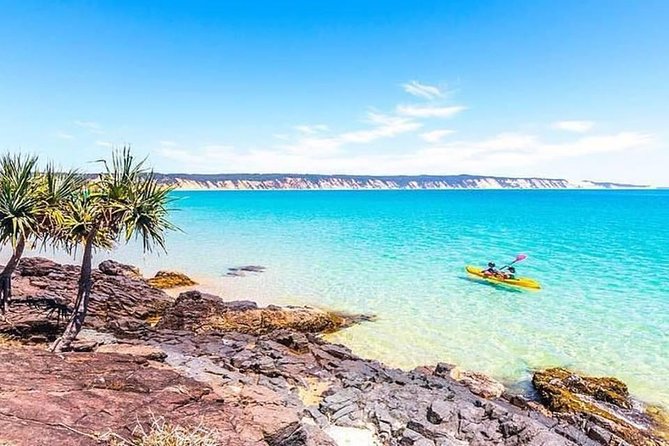 Epic Kayak With Dolphins & Wildlife - 4WD Beach Adventure Noosa - Price and value: what $115.48 actually buys you