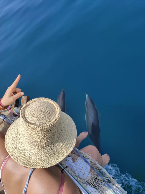 Estepona: Dolphin Search Boat Trip with Drink and Snacks - Snacks, One Drink, and That Comfortable On-Board Pace