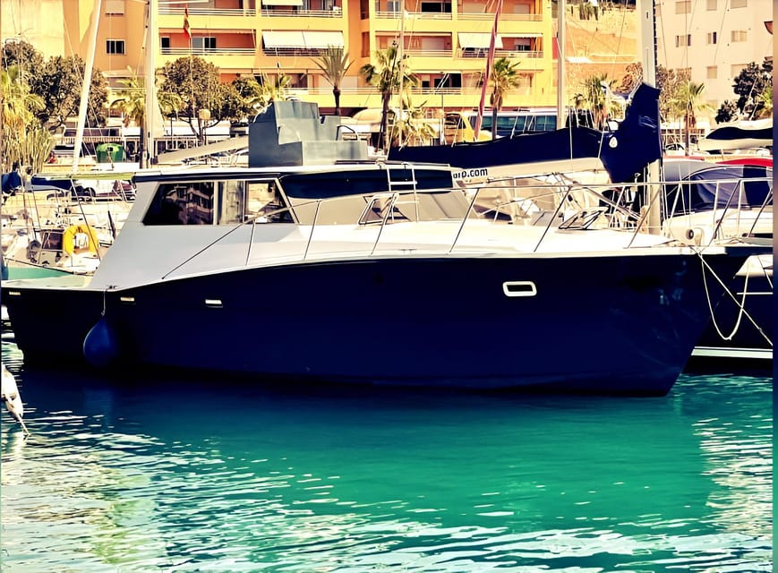 Estepona: Dolphin Searching Sunset Cruise with Drink & Snack - Who this cruise is best for (and who might want something else)