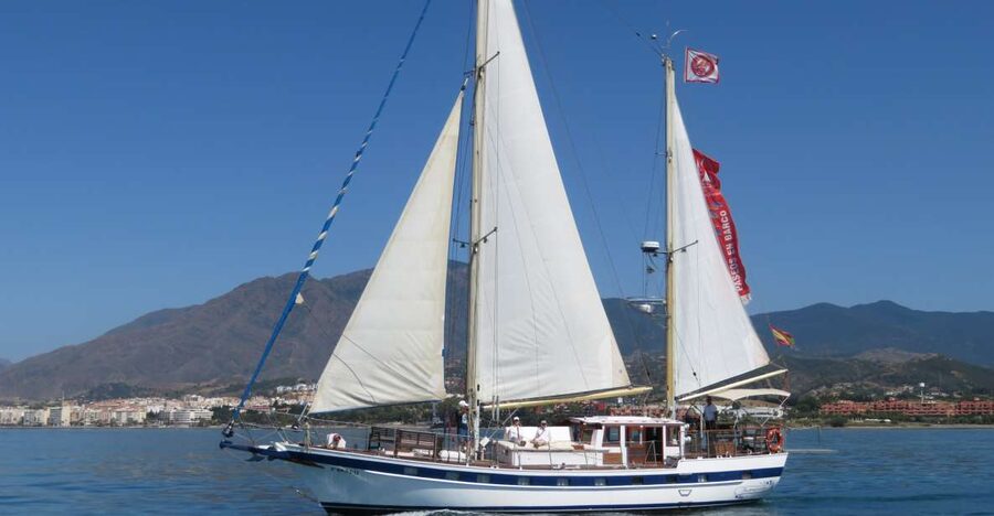 Estepona: Dolphin Watching Sailboat Cruise with Drink - Key highlights worth targeting