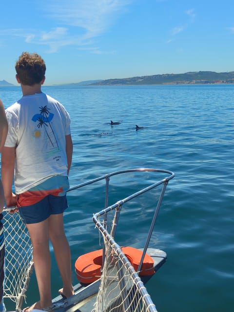 Estepona: Dolphins Searching Sea Cruise with Drink & Snacks - The possible swim stop: how to pack for sea time and what happens if you don’t swim