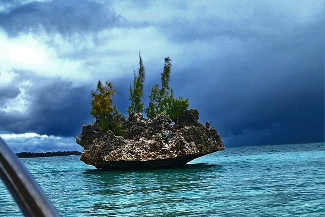 Exciting Dolphin encounters in the Maurtius's lagoon - Key things to know before you go