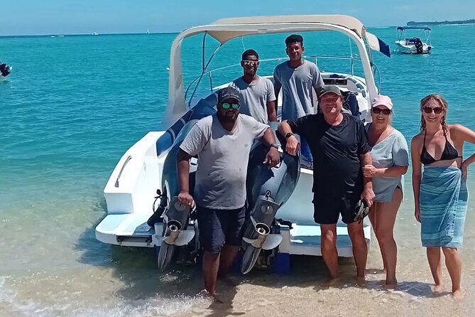 Exciting Dolphin encounters in the Maurtius's lagoon - Dolphin Swim and Snorkel in La Preneuse: What Makes This Work