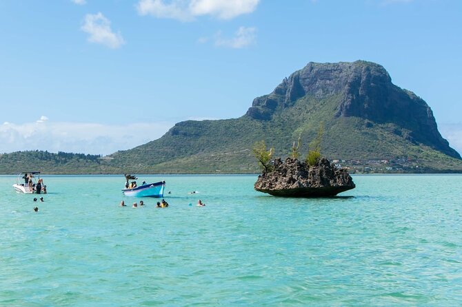 Exciting Dolphin encounters in the Maurtius's lagoon - What Happens on the Water With the Assistant Skipper