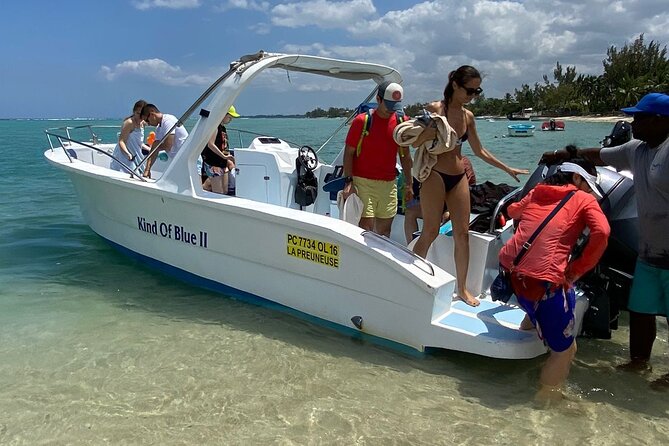 Exciting Dolphin encounters in the Maurtius's lagoon - Who This Trip Fits Best (And Who Should Skip It)