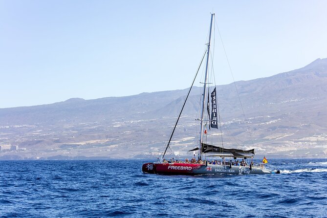 Exclusive Freebird Catamaran Whale & Dolphin to Masca From South - Los Gigantes Cliffs: Best Seen While You’re Floating