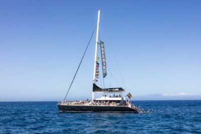 Exclusive Freebird Catamaran Whale & Dolphin to Masca From South - Porto Colón to Masca: The Day’s Flow Makes Sense