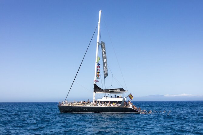 Exclusive Freebird Catamaran Whale & Dolphin to Masca From South - Porto Colón to Masca: The Day’s Flow Makes Sense