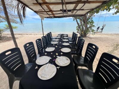 Exclusive:full-day/Dolphins watch& swimming Crystal Rock+Bbq - Dolphin watching that’s meant to be respectful