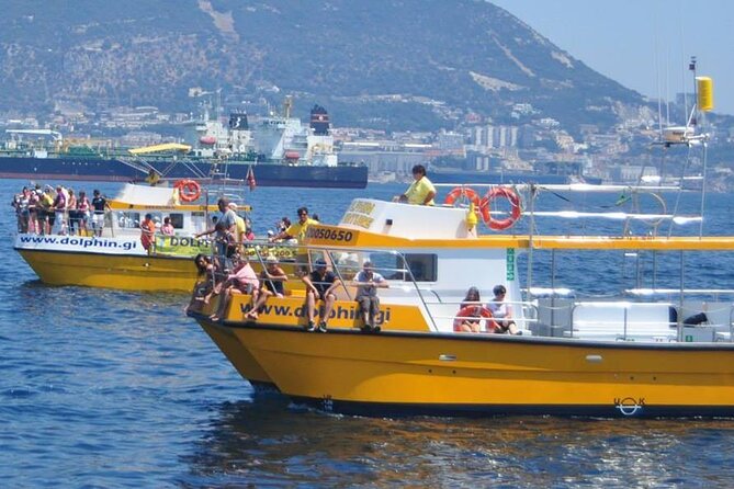 Excursion to Gibraltar with Dolphin Watching from Malaga - 3.5 hours in Gibraltar’s center: what to do with your free time