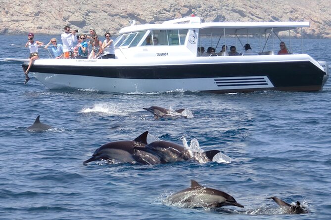 Experience Dolphin watching and snorkeling in Muscat - Key things to know before you go