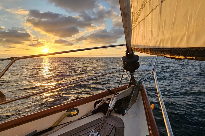 Experience Oceanside Sailing with Whales and dolphins! - Key Highlights at a Glance