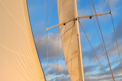 Experience Oceanside Sailing with Whales and dolphins! - Hoist the Sails or Sit Back: How the Captain Runs the Boat