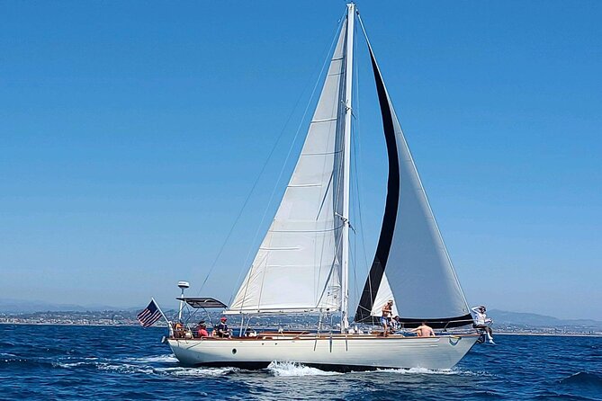 Experience Oceanside Sailing with Whales and dolphins! - Price and Value: Is $130 Worth a Private Dolphin-and-Whale Spot?