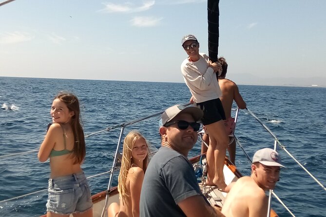 Experience Oceanside Sailing with Whales and dolphins! - Who This Works For (and Who Should Rethink It)