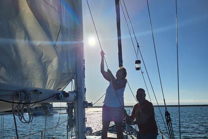 Experience Oceanside Sailing with Whales and dolphins! - Tips to Get the Best Views During Your 2 Hours