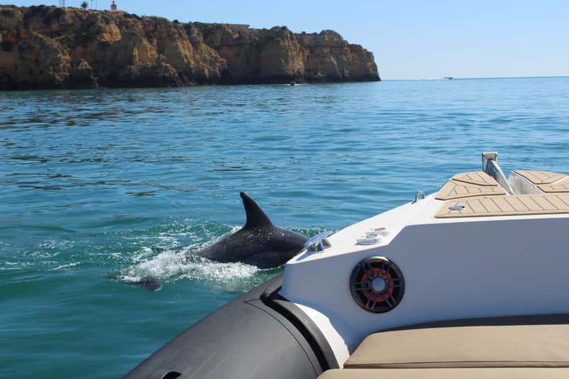 Explore Benagil, Ponta da Piedade and Dolphins in Algarve - From Bluefleet to Benagil Sea Cave: getting the famous skylight view