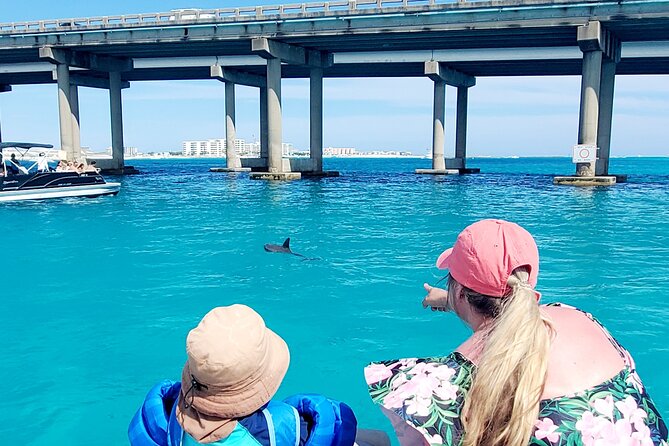 Fall/ Winter Destin Harbor Sightseeing Cruise - Dolphins and Sea Life: Enjoy the Possibility, Don’t Chase Guarantees
