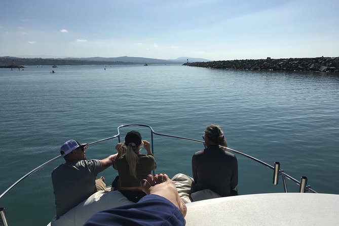 Family and Private Group Whale and Dolphin Watching - The 3-hour flow: cruising the coastline and spotting what shows up