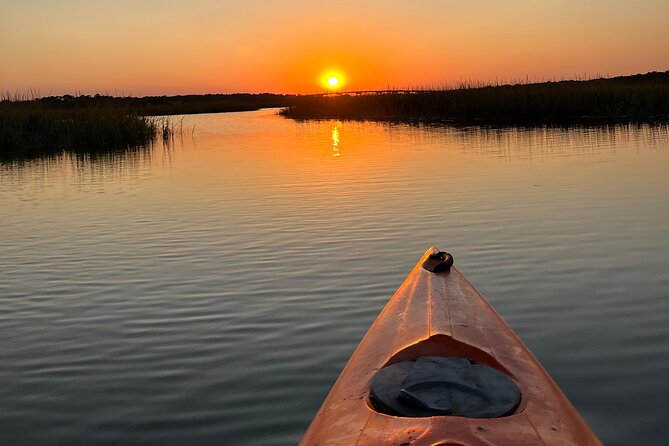 Family Friendly Dolphin Nature Kayak Tours in Hilton Head - Price and Value: What $48 Buys You in Real Terms