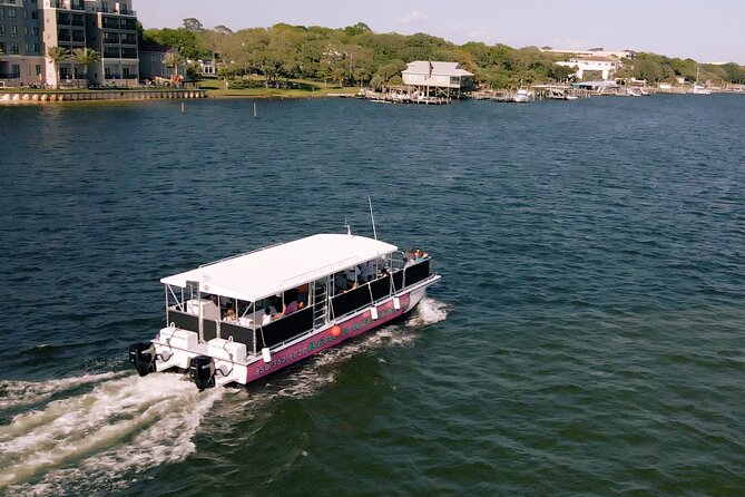 Family-Friendly Snorkeling and Dolphin Tour from FWB - Key things you’ll really notice on this tour