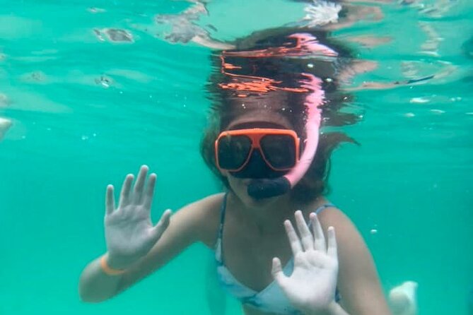 Family-Friendly Snorkeling and Dolphin Tour from FWB - Shark, turtle, manatee… what you’ll actually do with spotting wildlife