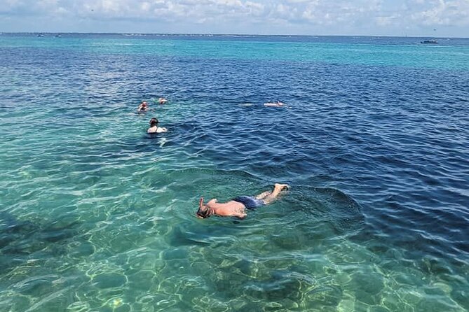 Family-Friendly Snorkeling and Dolphin Tour from FWB - Price and value: what $70 buys you for 3 hours