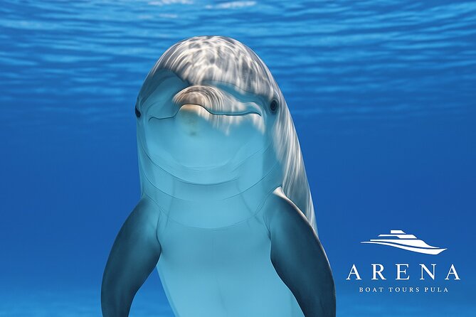 Fantastic DOLPHIN & SUNSET TOUR with dinner ( Pula-NP BRIJUNI ) - Why This Brijuni Dolphin and Sunset Cruise Feels Worth It