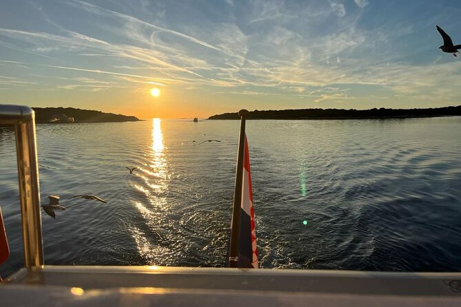 Fantastic DOLPHIN & SUNSET TOUR with dinner ( Pula-NP BRIJUNI ) - Dino Park While Cruising Veliki Brijun