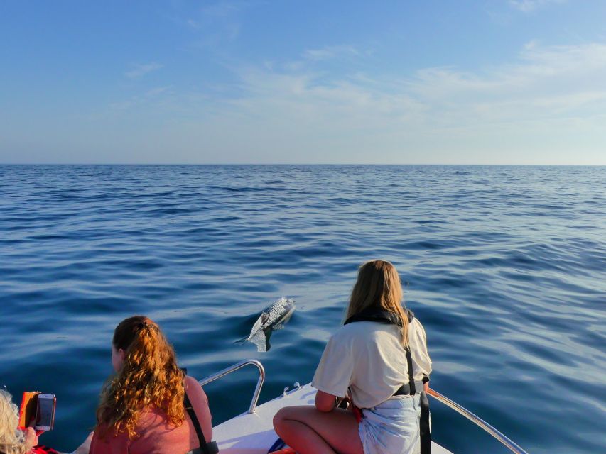 Faro: Dolphin and Wildlife Watching in the Atlantic Ocean - Marine Biologists On Board: What the Guides Do During the Search