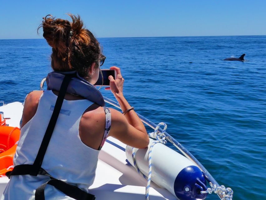 Faro: Dolphin and Wildlife Watching in the Atlantic Ocean - FAQ