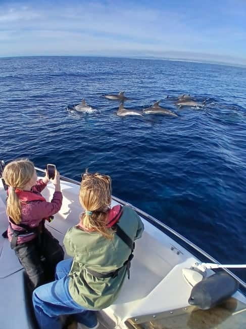 Faro: Funtastic Dolphin Watching Boat Tour - Faro Dolphin Watching: Where the Day Begins
