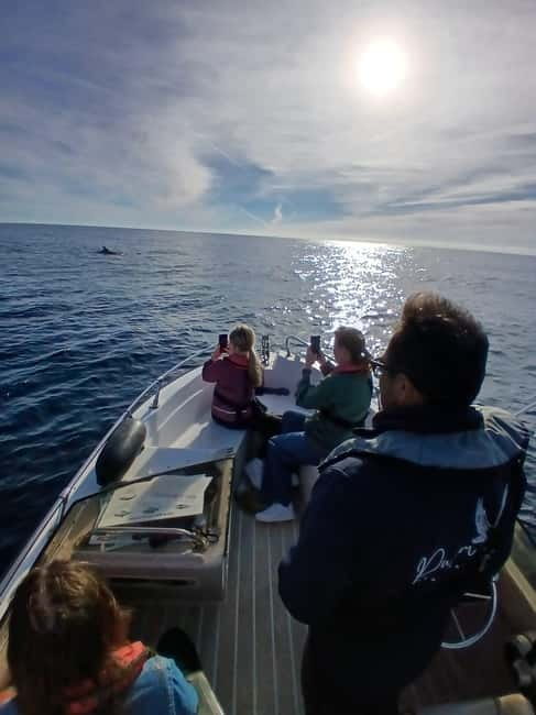 Faro: Funtastic Dolphin Watching Boat Tour - Out to the Atlantic: Searching for Dolphins and Other Marine Life