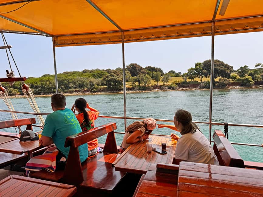 Fazana: Dolphin Finder in Brijuni islands Safari with Dinner - What “dolphin finder” really means here