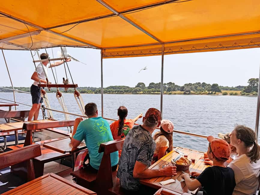 Fazana: Dolphin Finder in Brijuni islands Safari with Dinner - Finding your meeting point at Fažana Port (white lighthouse tip)