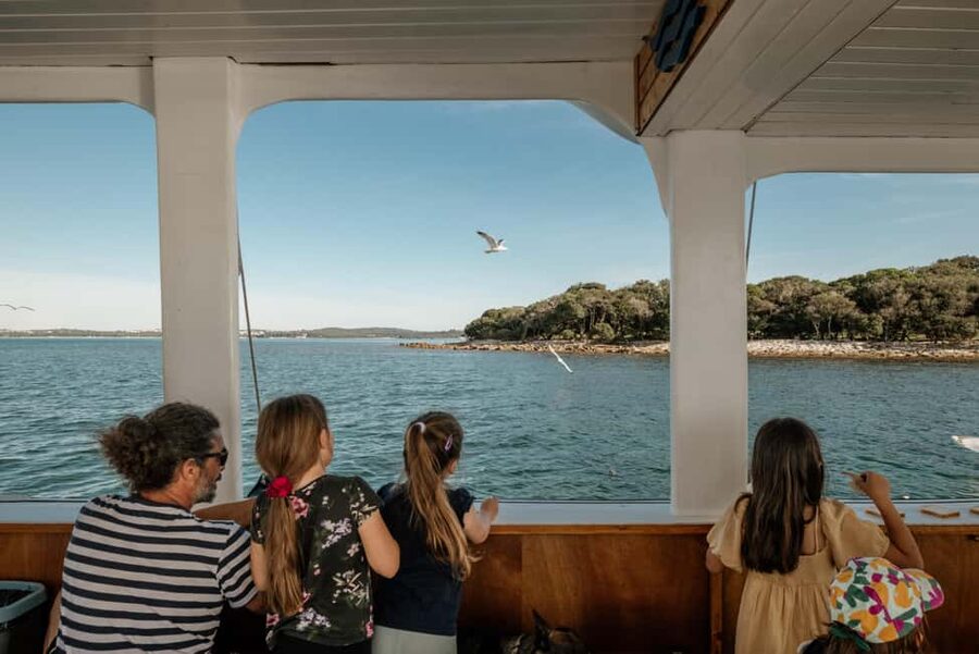 FAŽANA: DOLPHIN SAFARI - The 2-hour route: Big Brijun, Small Brijun, 14 islands, then back for sunset