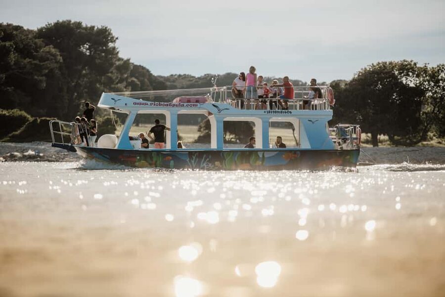 FAŽANA: DOLPHIN SAFARI - Dolphins without stress: set expectations and use your eyes