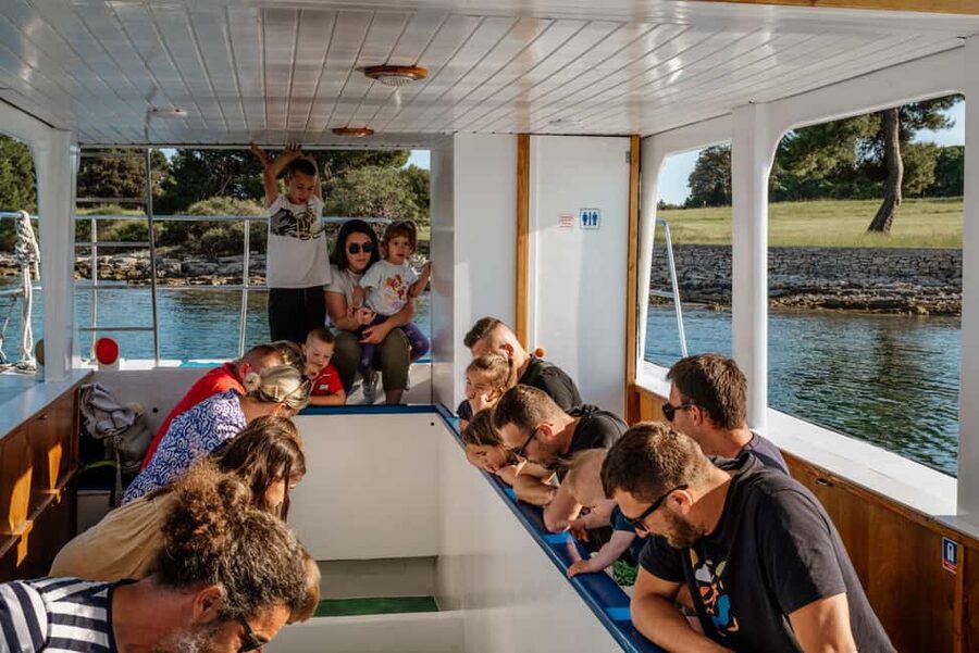 FAŽANA: DOLPHIN SAFARI - Price and value: what $41 buys you (and what it doesn’t)