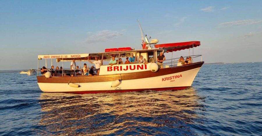 Fazana: Guided Dolphin Watching Sightseeing Cruise at Sunset - Onboard comfort and included extras: what you get for about $34
