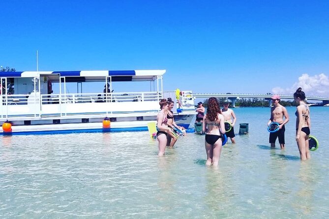 Fins Up - Dolphin & Island Sandbar Adventure in Clearwater Beach - Key Highlights You’ll Care About