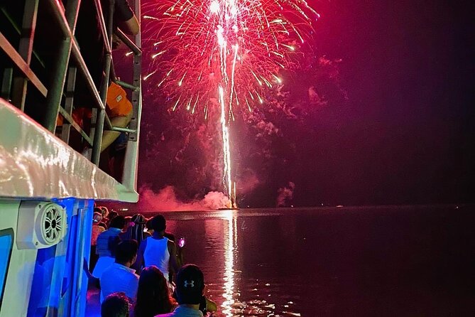 Fireworks Cruise with Dolphin Watch in Laguna Madre Bay - Key Points at a Glance