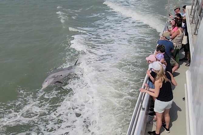 Fireworks Cruise with Dolphin Watch in Laguna Madre Bay - Why Laguna Madre Fireworks + Dolphin Watching Works