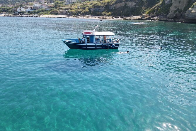 Fishing, Snorkelling & Dolphin Boat Tour - Key highlights before you go