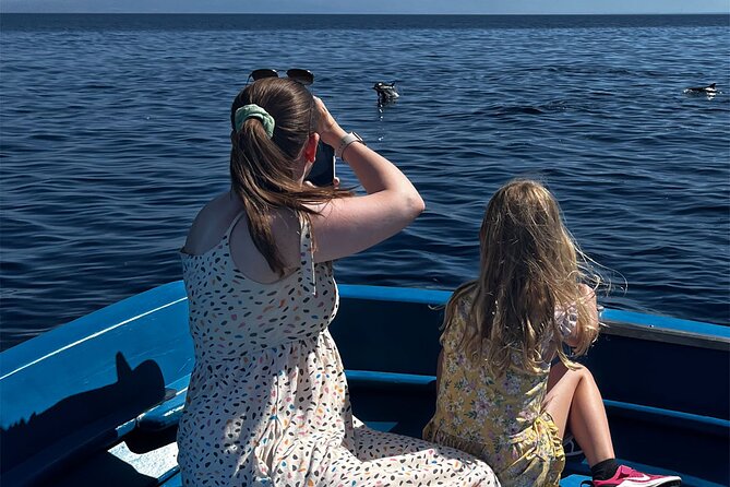 Fishing, Snorkelling & Dolphin Boat Tour - Pickup, small groups, and an English-friendly setup