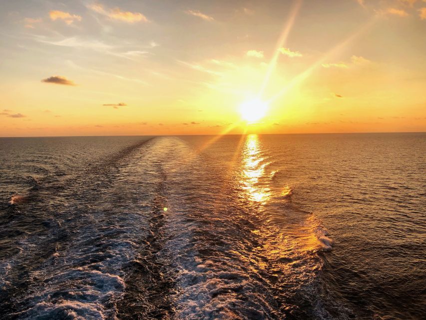 Florida: Emerald Coast Sunset & Dolphin Cruise with Guide - What the guides actually do for you: spotting, local context, and fun energy