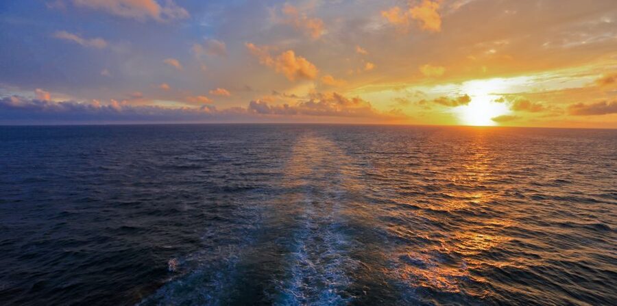 Florida: Emerald Coast Sunset & Dolphin Cruise with Guide - Meeting point on Brooks St SE: the construction reality check