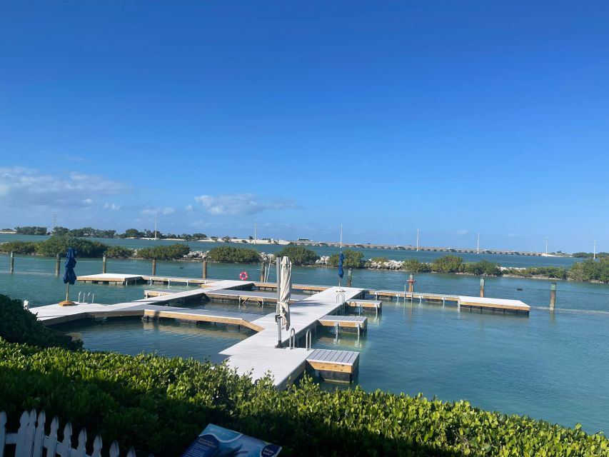 Florida Keys: Dockside Dolphin Experience - Key highlights you should care about